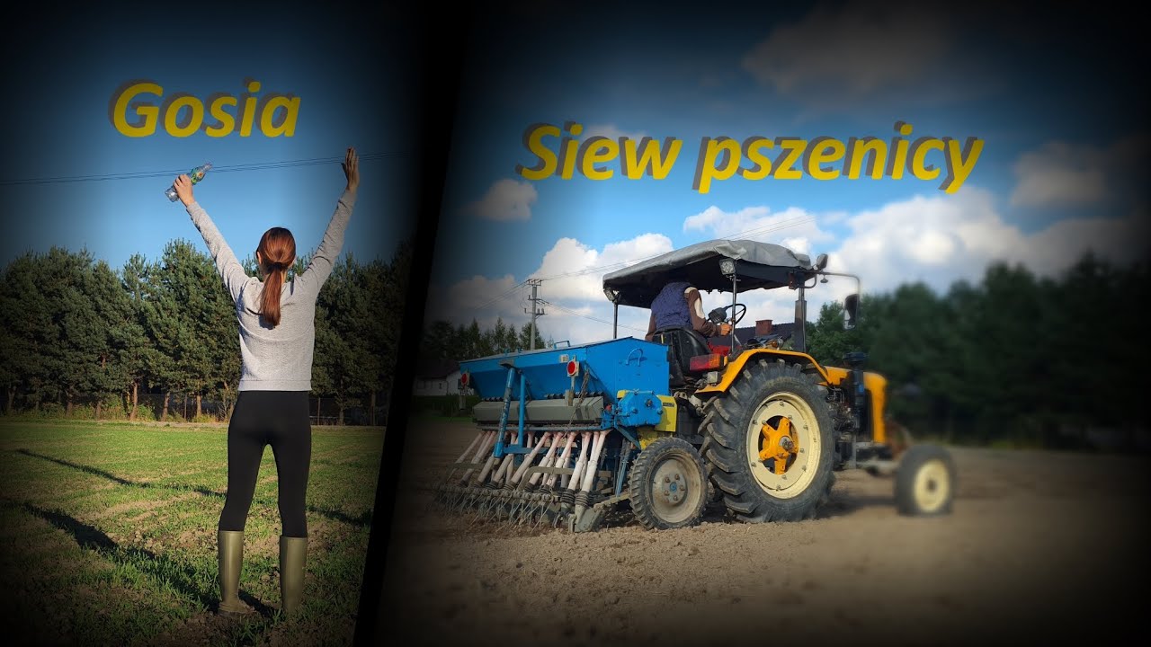 Siew pszenicy ozimej Opoka 2022 Zetor 25330 Rolmasz Poznaniak S068/1