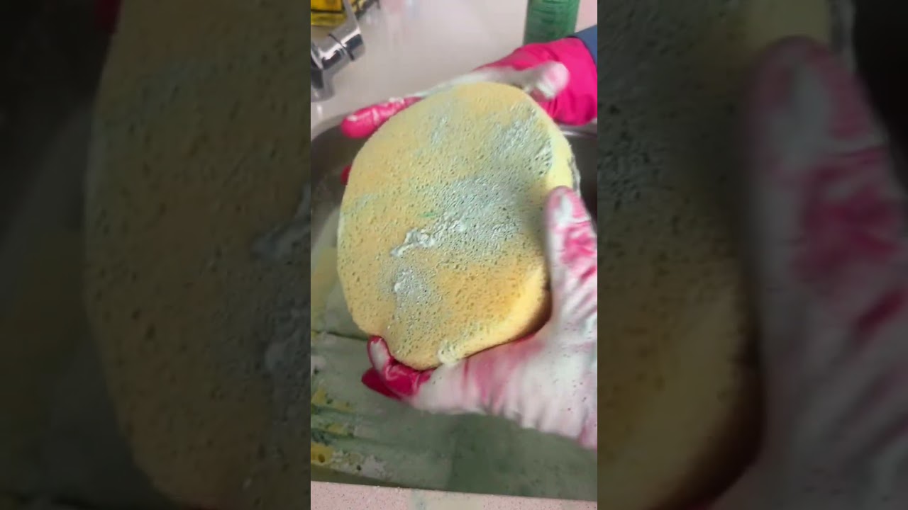 #rinse #spongeasmr #relax #cakedecorating 
