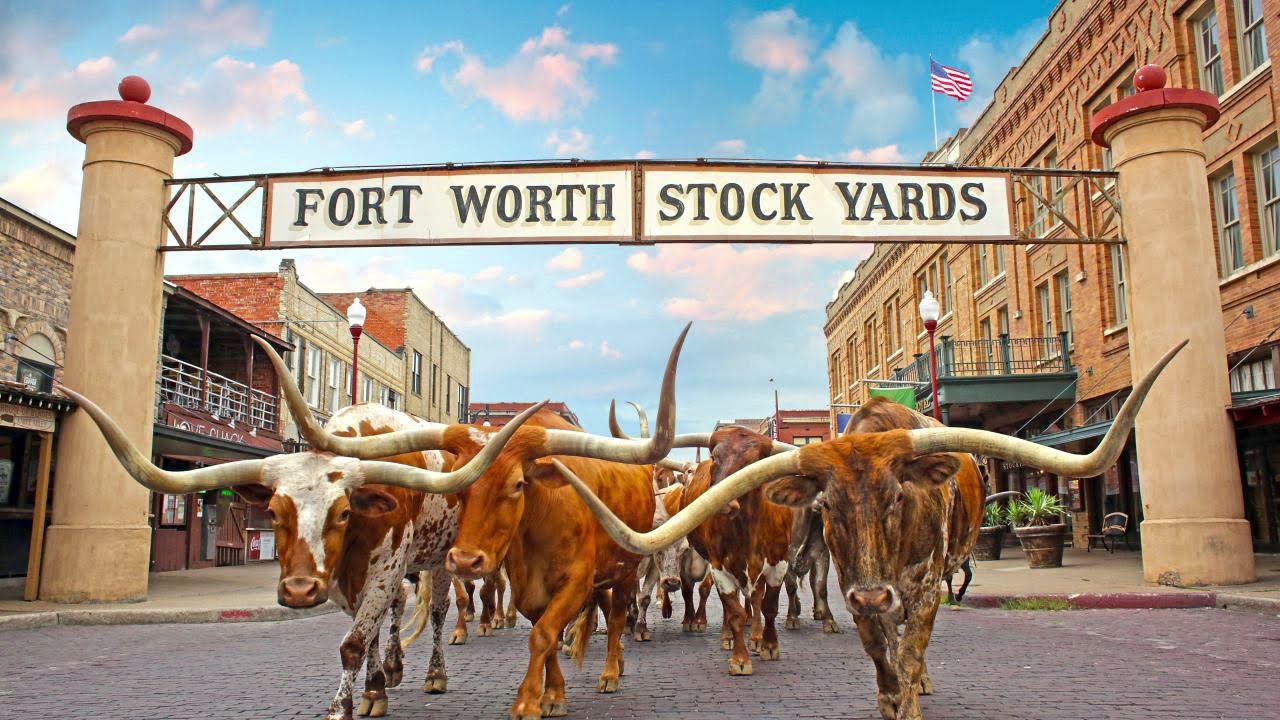 North Central Plains - Texas History - Texas Geography - Regions of Texas