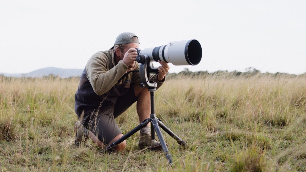Framing African Wildlife through the lens of Pie Aerts