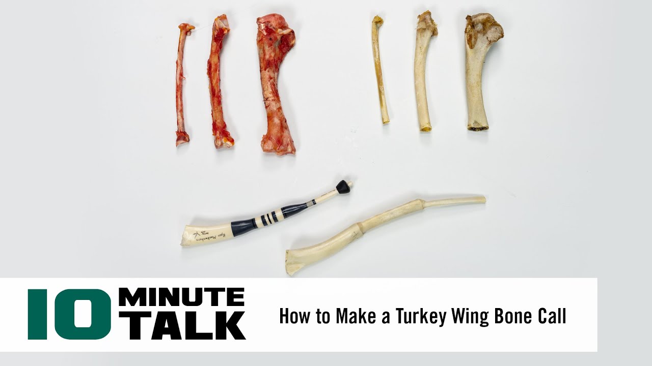 #10MinuteTalk - How To Make a Turkey Wing Bone Call
