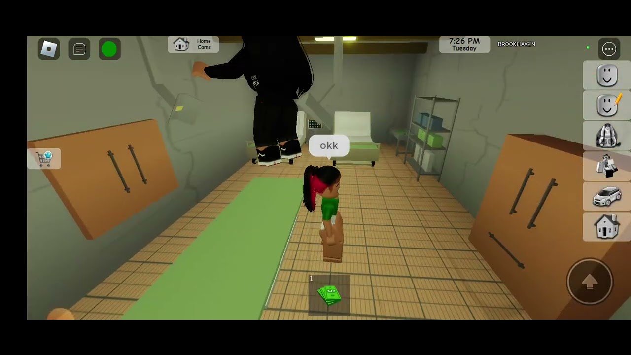 I was kidnap in Brookhaven /Brookhaven rp 🏡 / *kidnap*?
