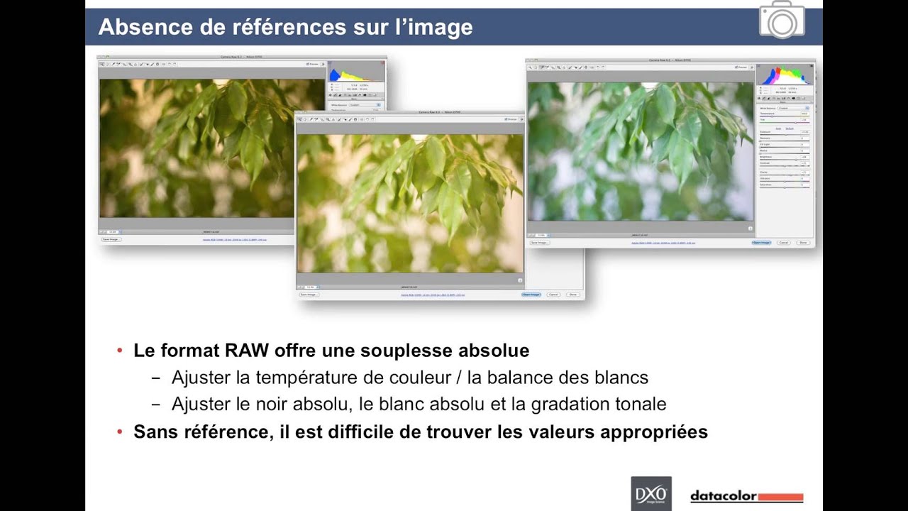 Webinaire Datacolor: Obtenir des couleurs parfaites avec Datacolor et DxO