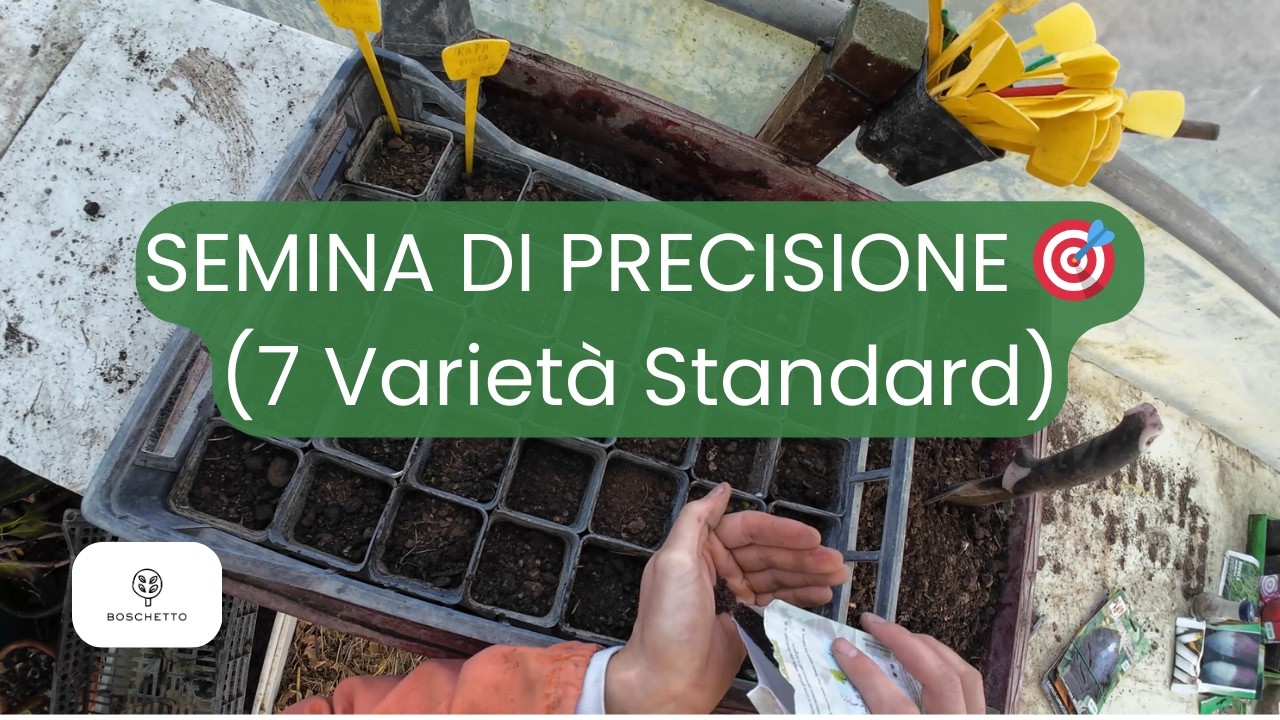 7 Varietà in 35 Vasetti: Organizzazione e Semina Naturale | Boschetto Alimentare