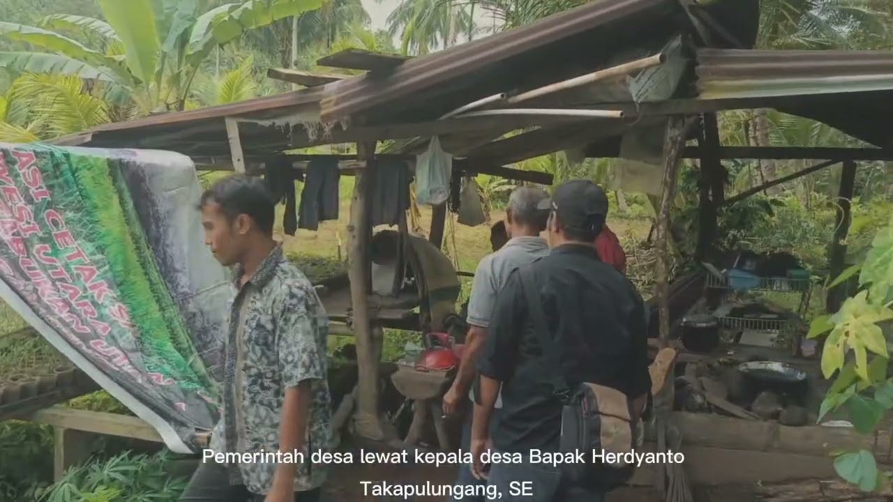Lahan Padi Sawah desa Utaurano Kec Tabukan Utara Kab Kepl Sangihe Prop Sulawesi Utara