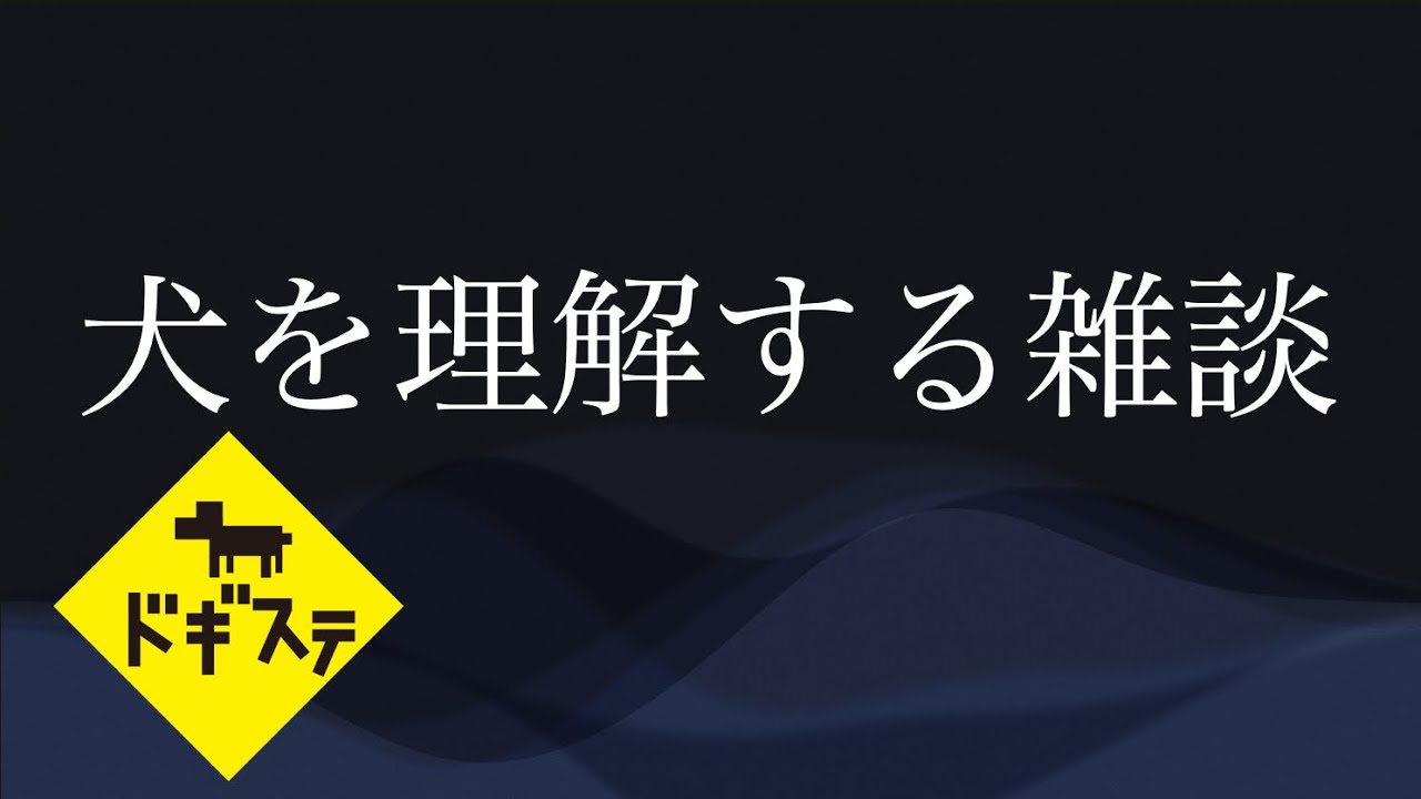 犬雑談｜ドッグビヘイビアリスト