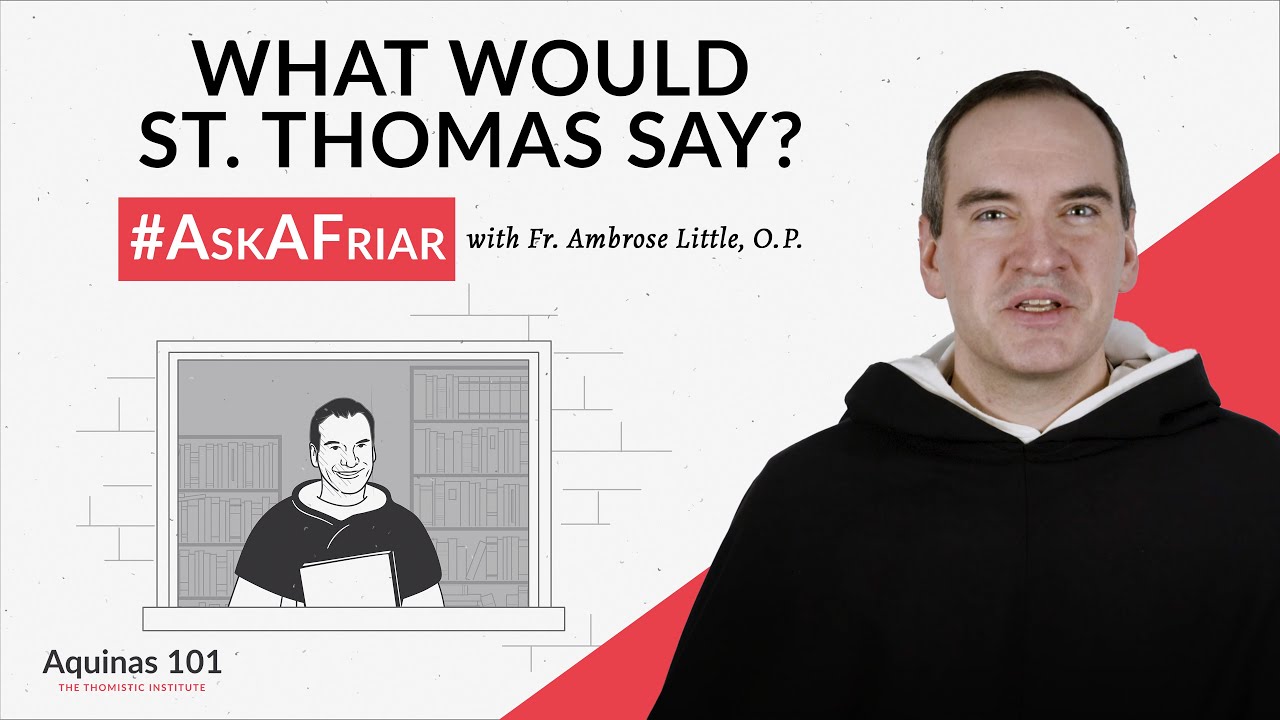 Q&A: Is Water Wet? And More! #AskAFriar (Aquinas 101)