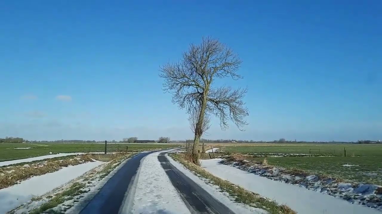 Wia Buze  -  Winter