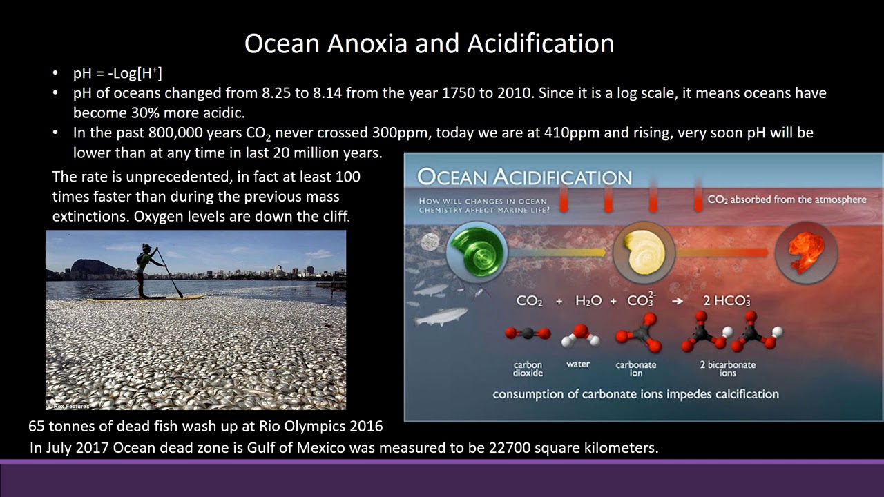 16) Ocean Anoxia and acidification - Atmospheric science