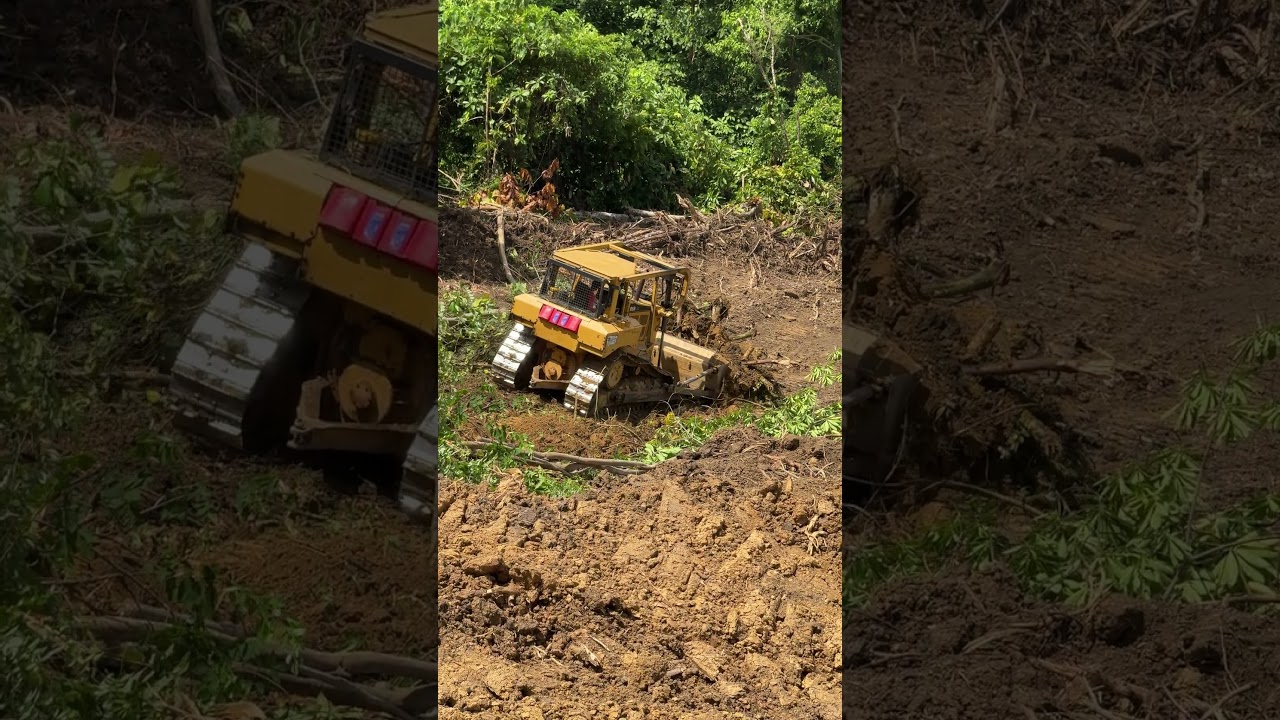 D6R XL Bulldozer Precision and Efficiency in Palm Terrace Building