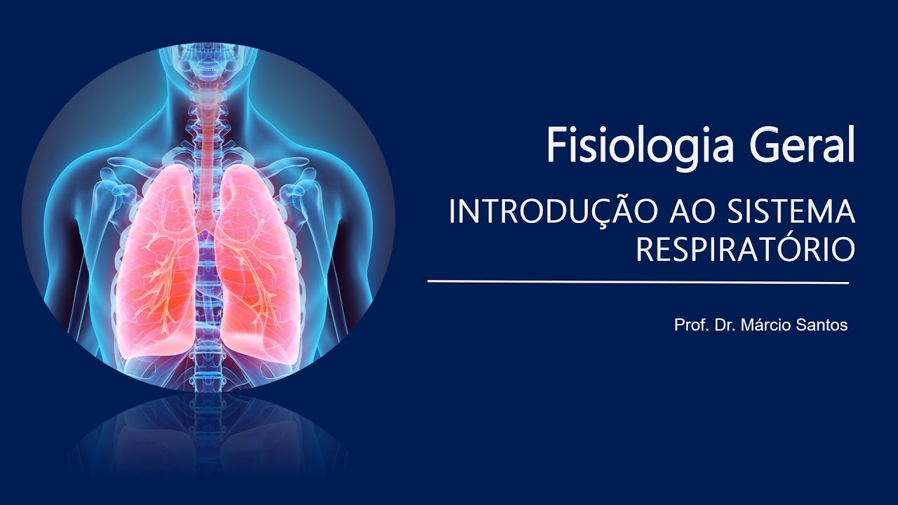 MODULO 3 - Aula 10: Introdução ao Sistema Respiratório  - Prof. Márcio Santos