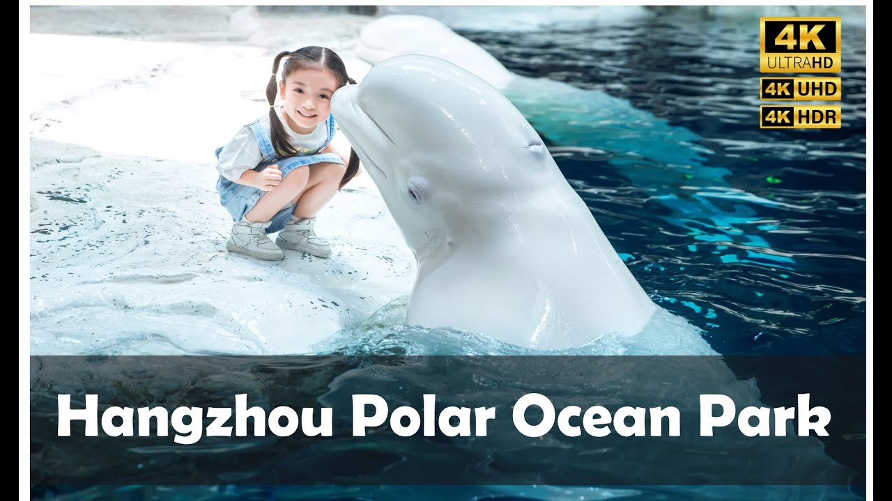 Polar Ocean Park in Hangzhou, China -杭州长乔极地海洋公园