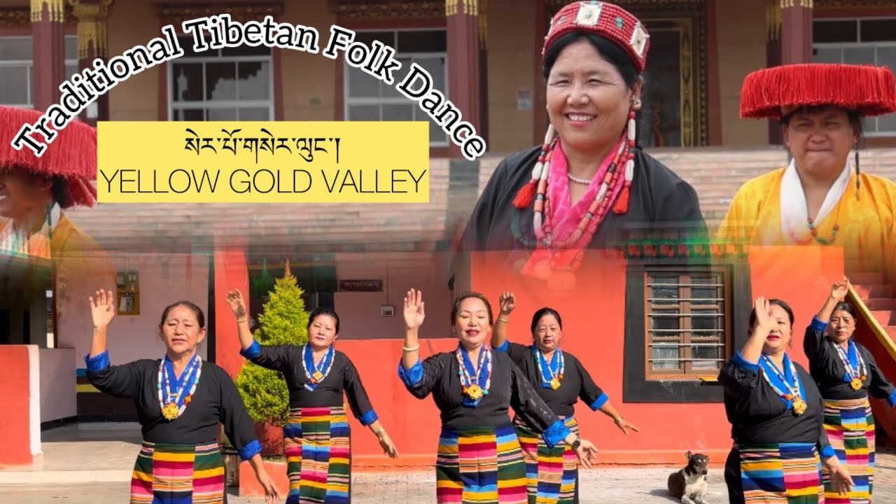 New Tibetan song 2025 | Golden Valley སེར་པོ་གསེར་ལུང་། | Kunzom Sangmo #tibetangorshey #mundgod 