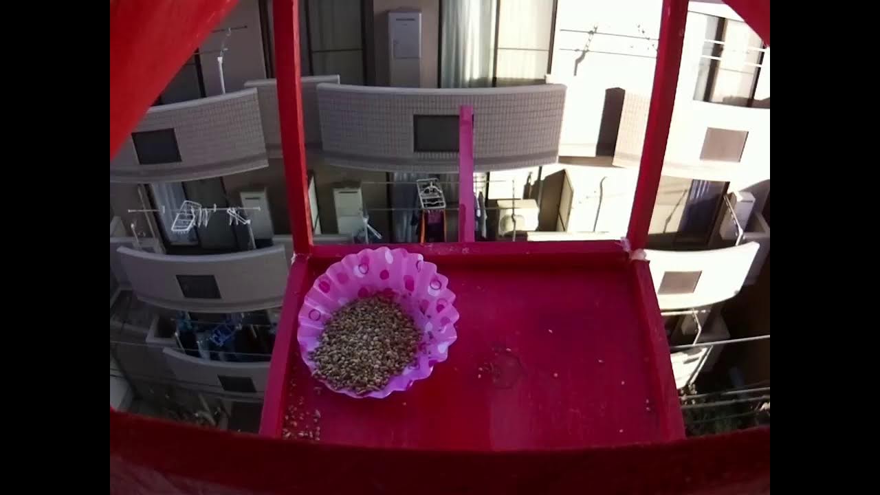 トリチューブ (BirdTube)