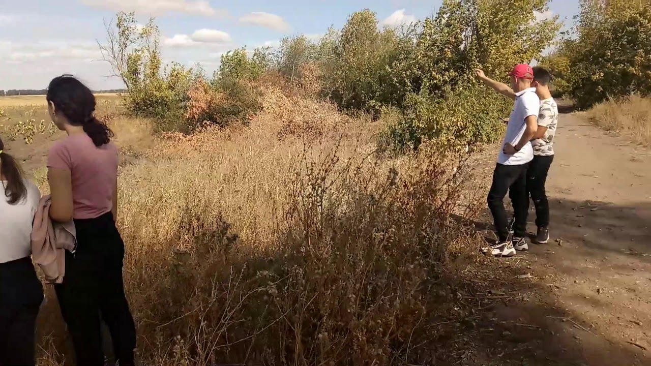 с. Підлиман 15.09.2020