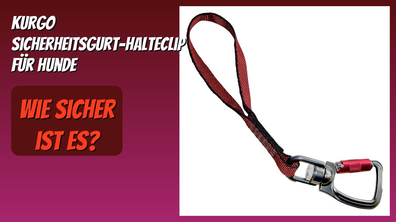 BEWERTUNG (2025): Kurgo Sicherheitsgurt-Halteclip für Hunde. Infos