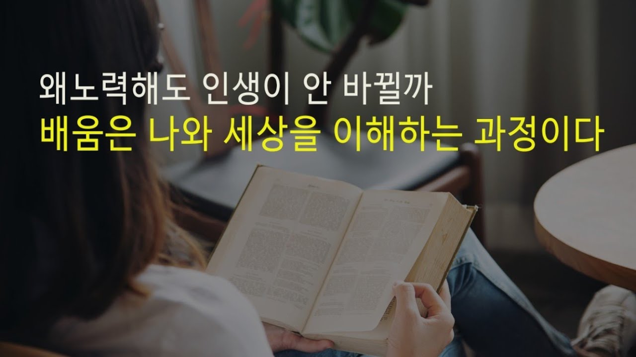아침긍정확언333일째! 독서는 삶을 바꾸는 가장 조용한 혁명이다