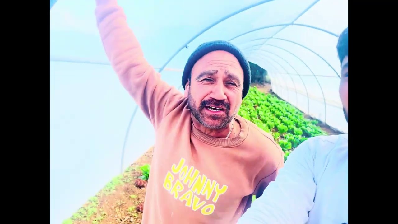 kite ਗੱਠੇ saaf ਤੇ order teyar kita mandi ਦਾ 