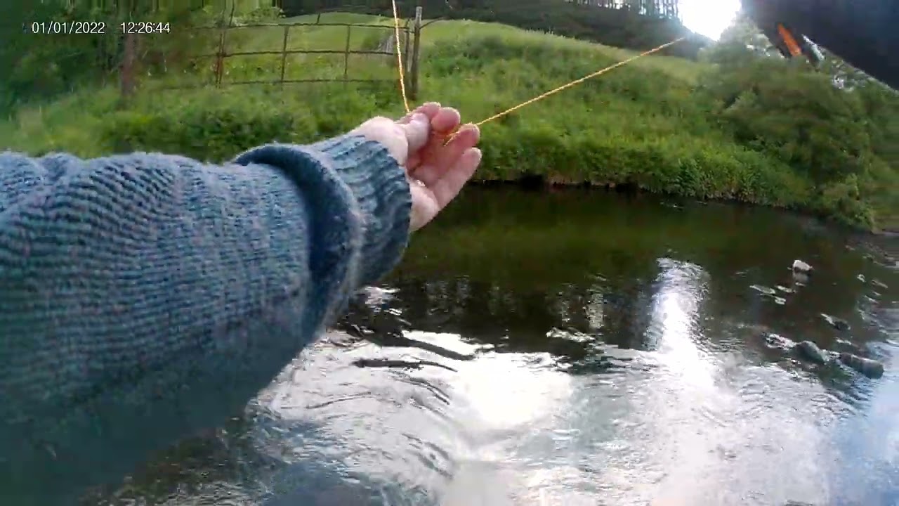First visit of the Season to the River Devon #browntroutfishing #flyfishing