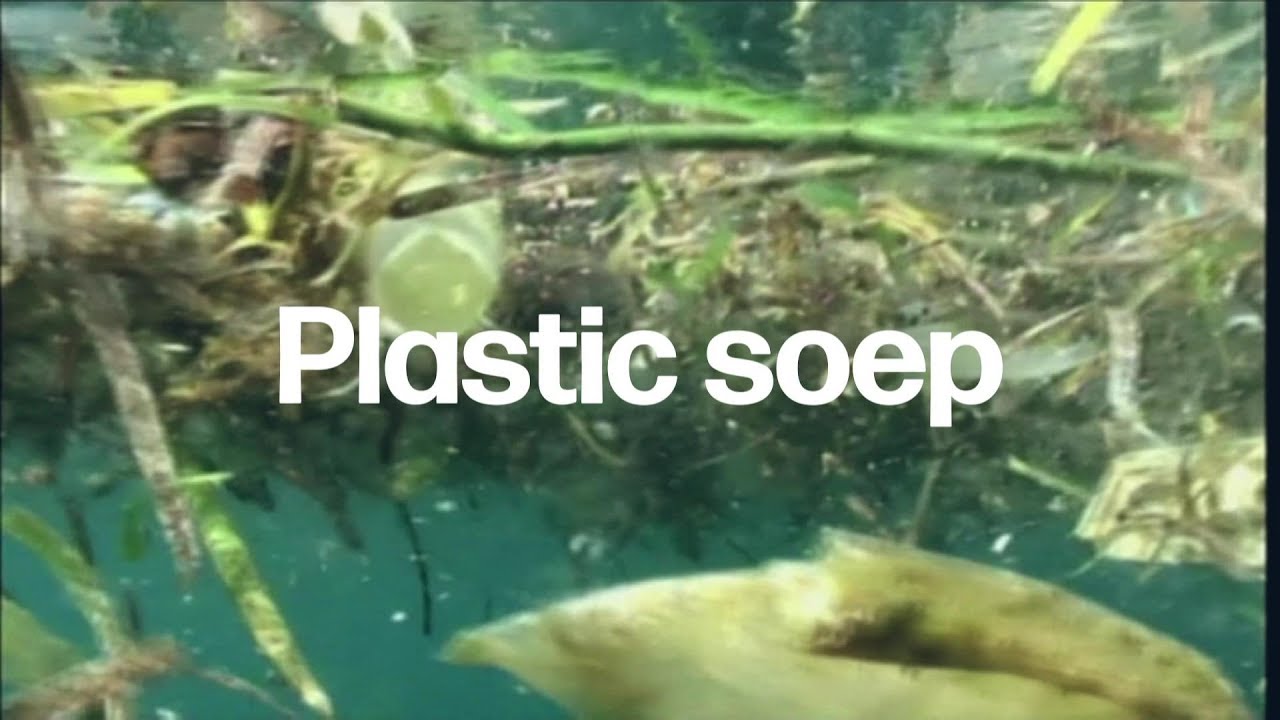 Microplastics zijn overal: hoe erg is de situatie voor mens en dier?