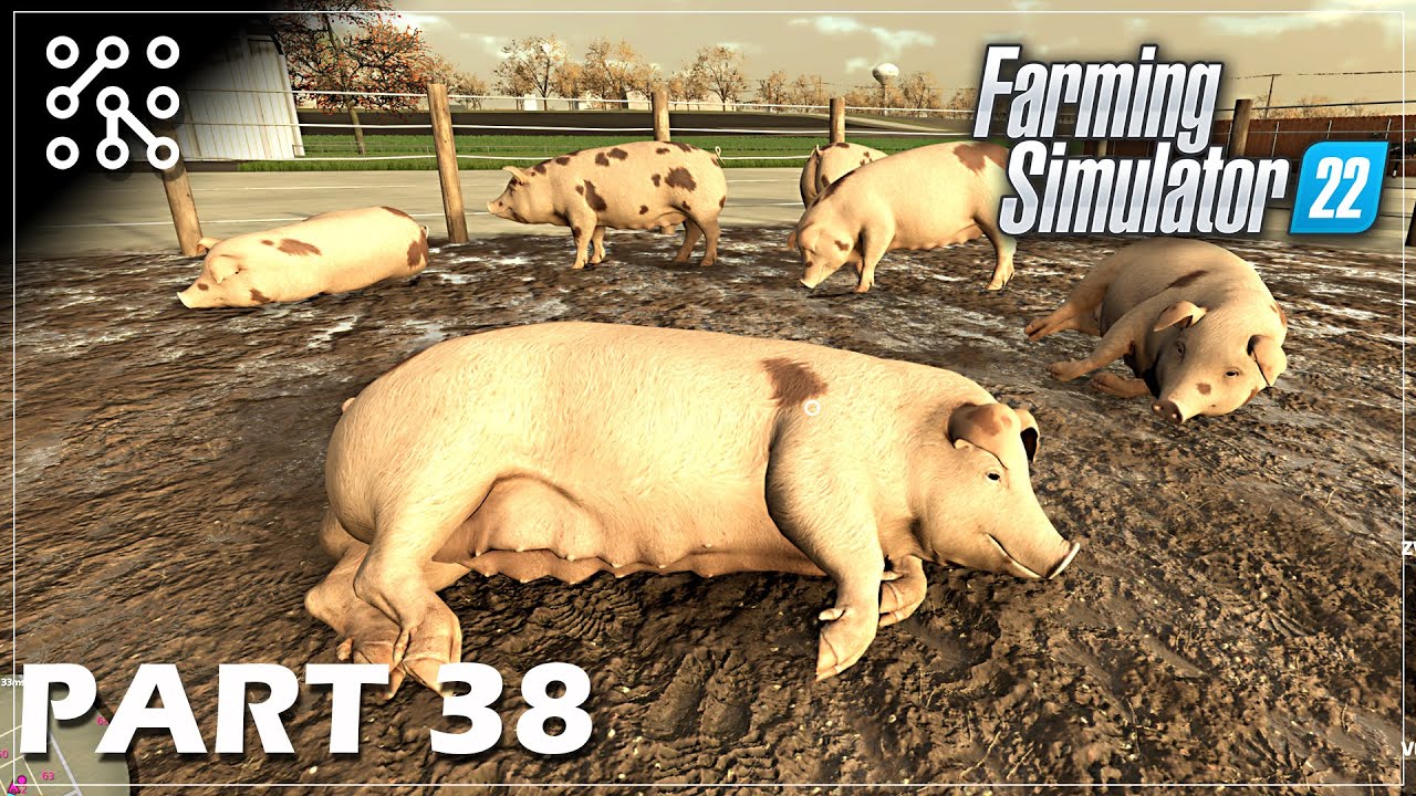 Farma pro 810 prasat. Kupujeme jich dalších 360! #36 | Farming Simulator 22 | Lets play | Česky