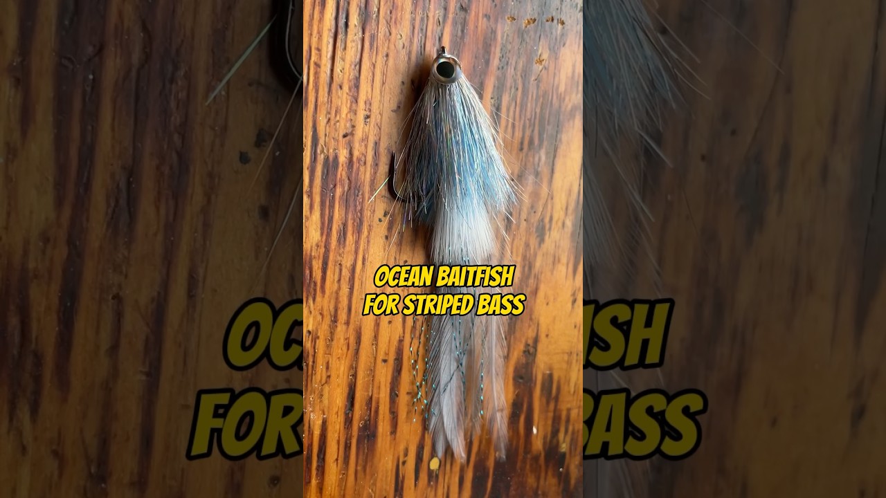 STREAMER FOR STRIPED BASS #viral #stripedbass #outdoors #shorts #fishing #flytyingtutorial #diy