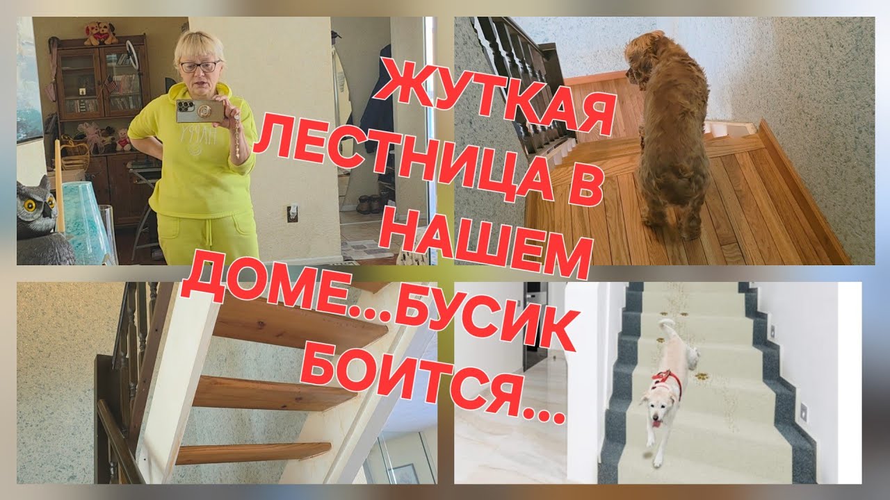 ОСЛАБЛЕННЫЙ ПЕС МОЖЕТ УБИТЬСЯ//НУЖНЫ НЕСКОЛЬЗЯЩИЕ КОВРИКИ//ТОЛЬКО БЫ БОЛЬНИЦЫ ИЗБЕЖАТЬ!...