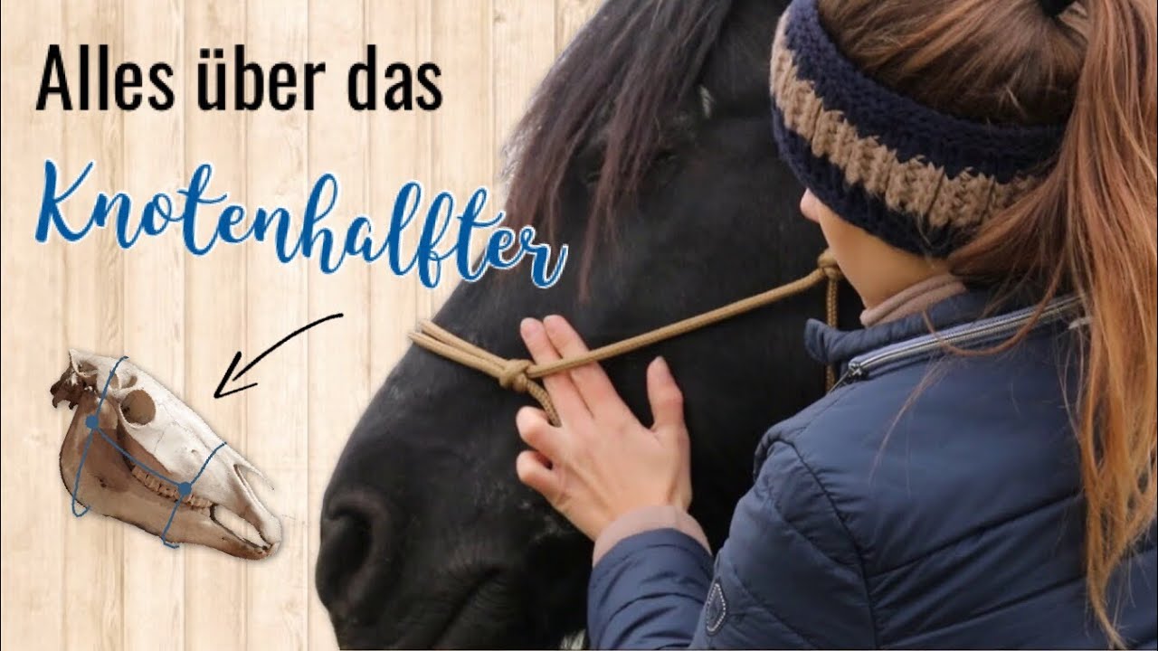 Das Knotenhalfter & das Bodenarbeitsseil | richtig Knoten und anlegen