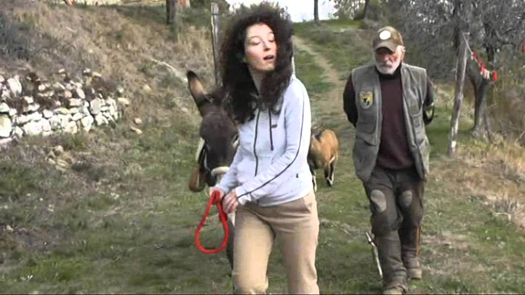 asina Petra-quando a dover essere addestrati sono gli asinari.mp4