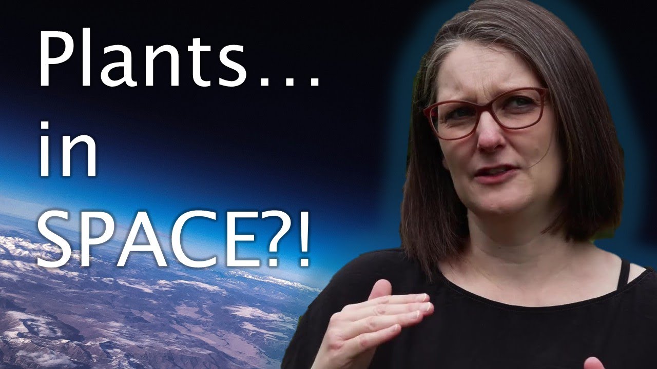 Vertical farming and beyond: Dr Jennifer Bromley