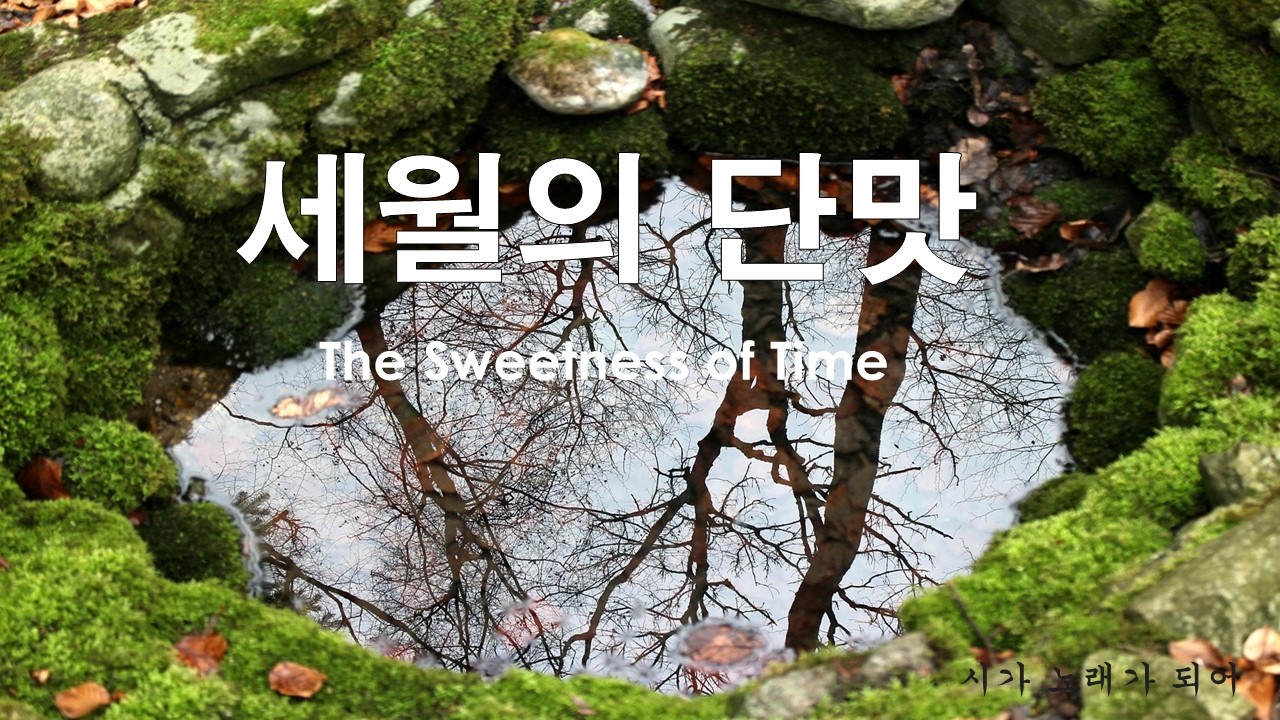 [K-Acoustic Ballad] 세월의 단맛 (The Sweetness of Time) | 하루 하루가 은총 | Original Poem