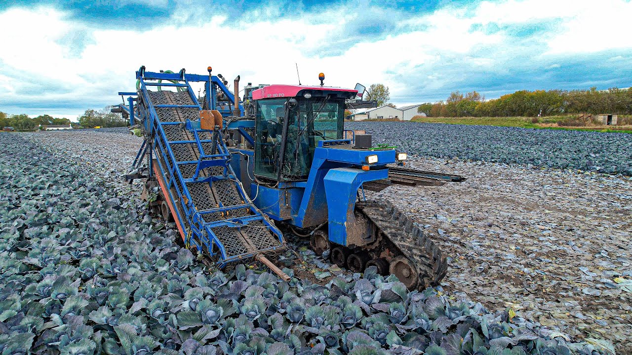 ASA LIFT Self propelled cabbage  harvester (4K)
