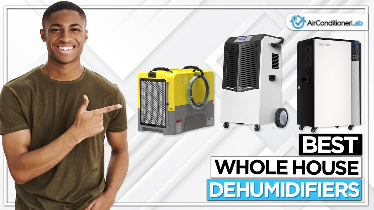 7 Best Whole House Dehumidifiers