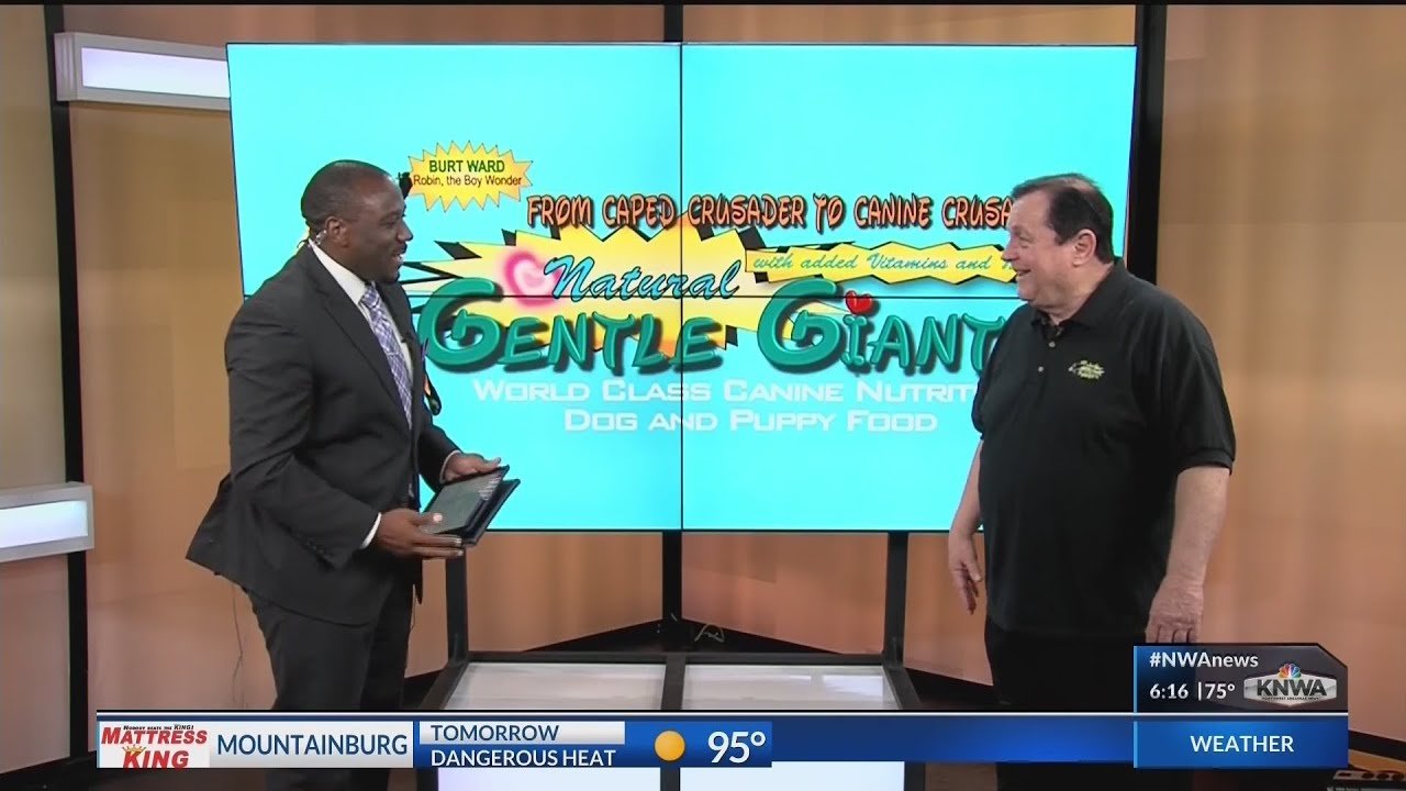 KNWA Today: Burt Ward talks about Gentle Giants