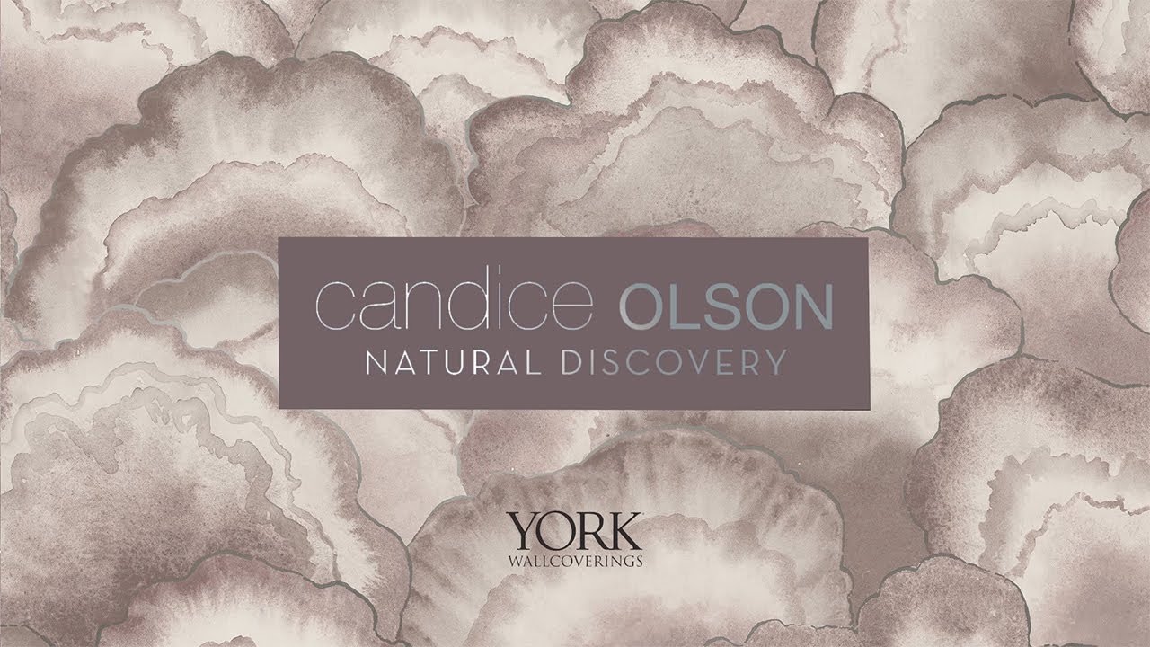Candice Olson Natural Discovery
