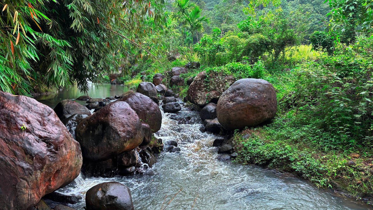 Goodbye Sadness to Sleep Instantly with Roaring Water in Wild River Flowing Through Quiet Forest