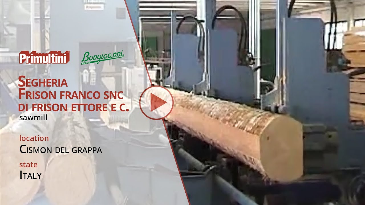 Sawmill Frison - Primultini