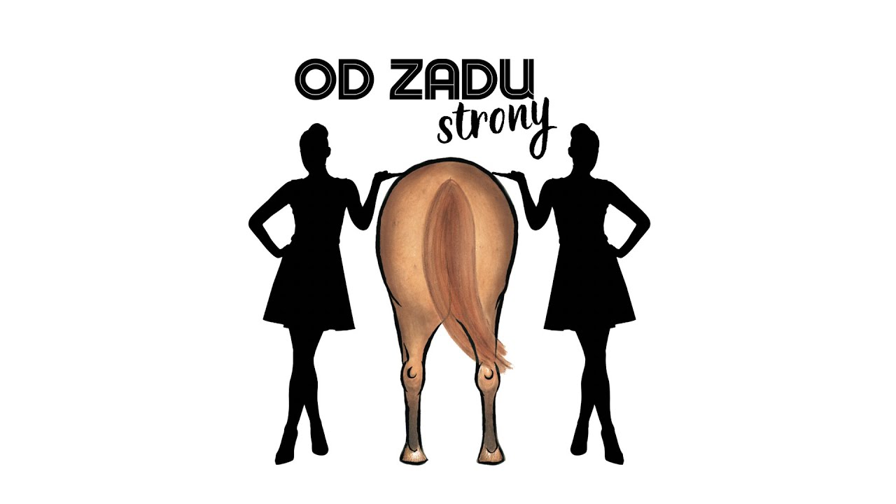 STAJENNY VLOG #2 | rozmowy w siodle | Ady koń okulał