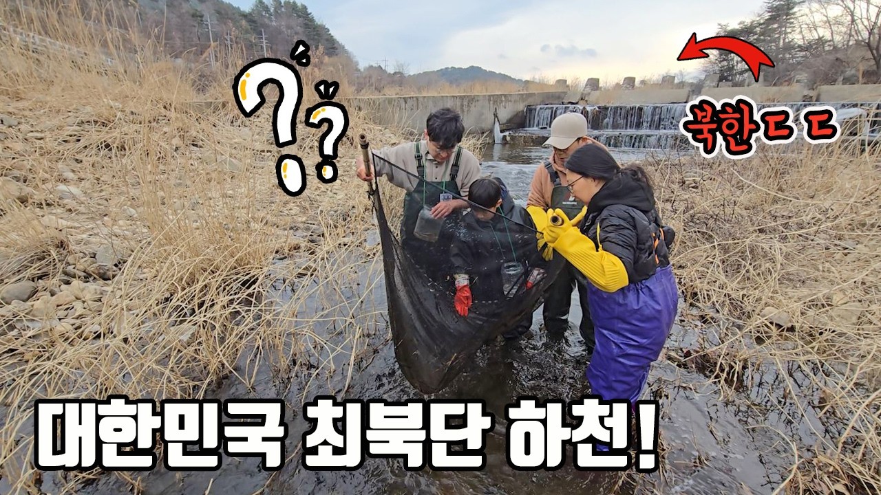 북한과의 거리 단 8km! 국내 최북단 하천엔 뭐가살까? 처음보는 희귀 물고기 등장!