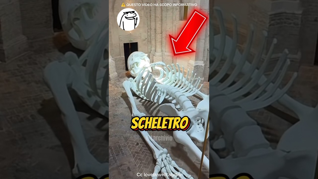 LE 3 COSE PIÙ LUNGHE AL MONDO 🌍😱 