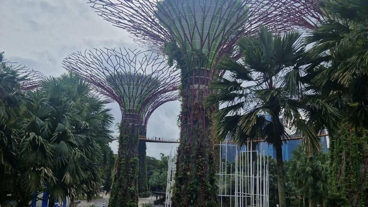 Singapore 