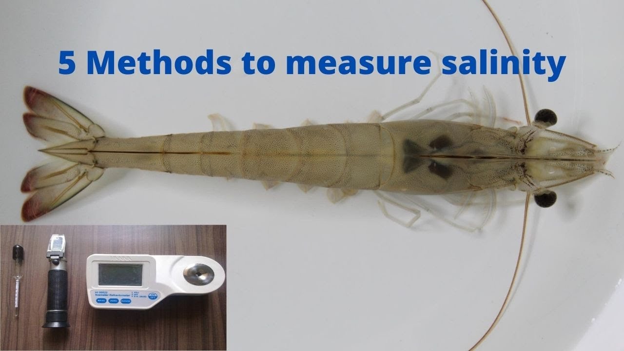 5 Methods to measure pond water salinity (Telugu)