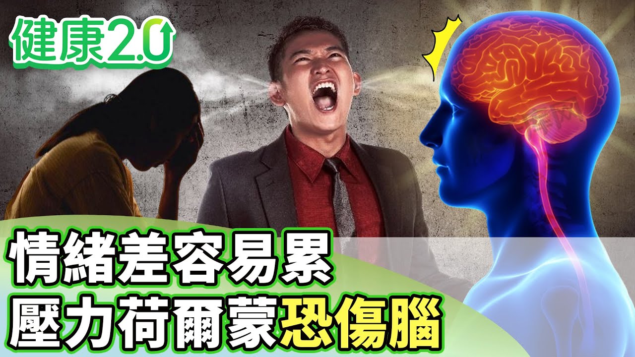 情緒差容易累 壓力荷爾蒙消耗微量元素恐傷腦【健康2.0分段】@tvbshealth20 EP3114-1 20251026 #鄭凱云#甄瑞興#陳睿正#宋明樺#陳麗華#潘瑋翔