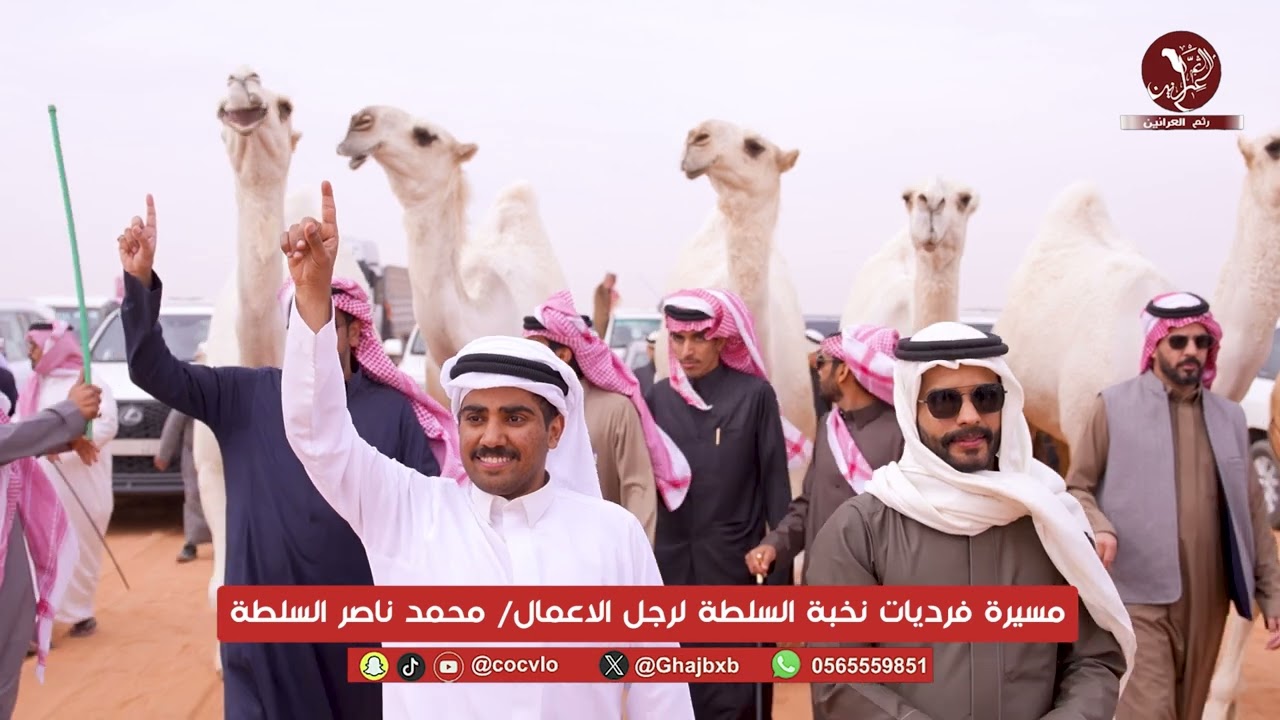 مسيرة فرديات نخبه السلطه لرجل الاعمال/ محمد ناصر السلطه مهرجان الملك عبدالعزيز للإبل النسخه 10