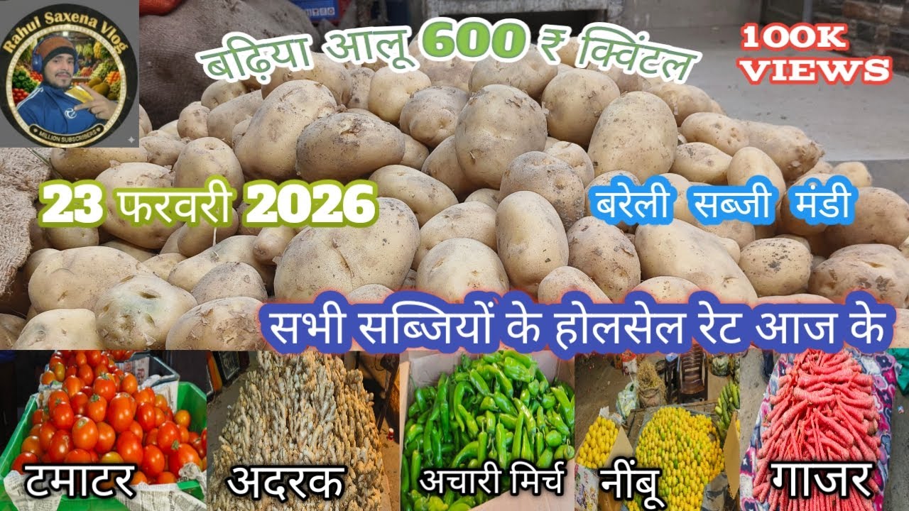 बरेली सब्जी मंडी 23 फरवरी 2026#streetfood #vegitablemarket #vegitablemarket #BareillyMandi# 