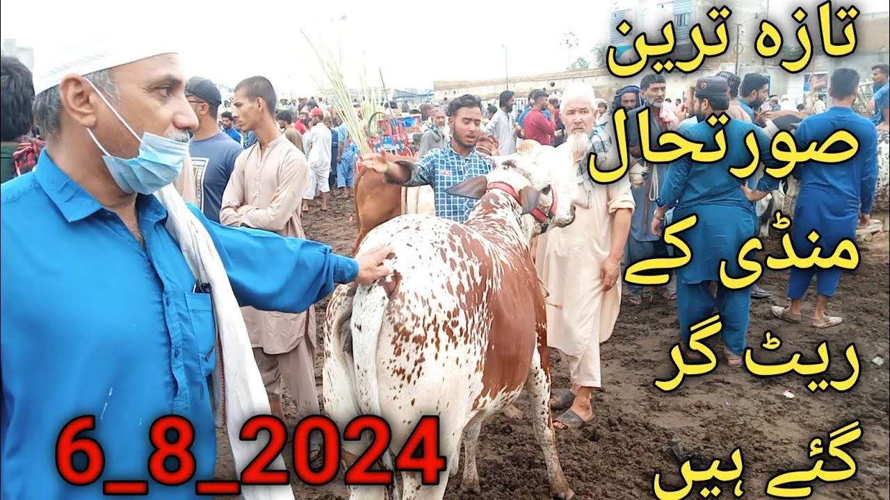 LATEST UPDATE OFF KARACHI MALIR MANDI.
