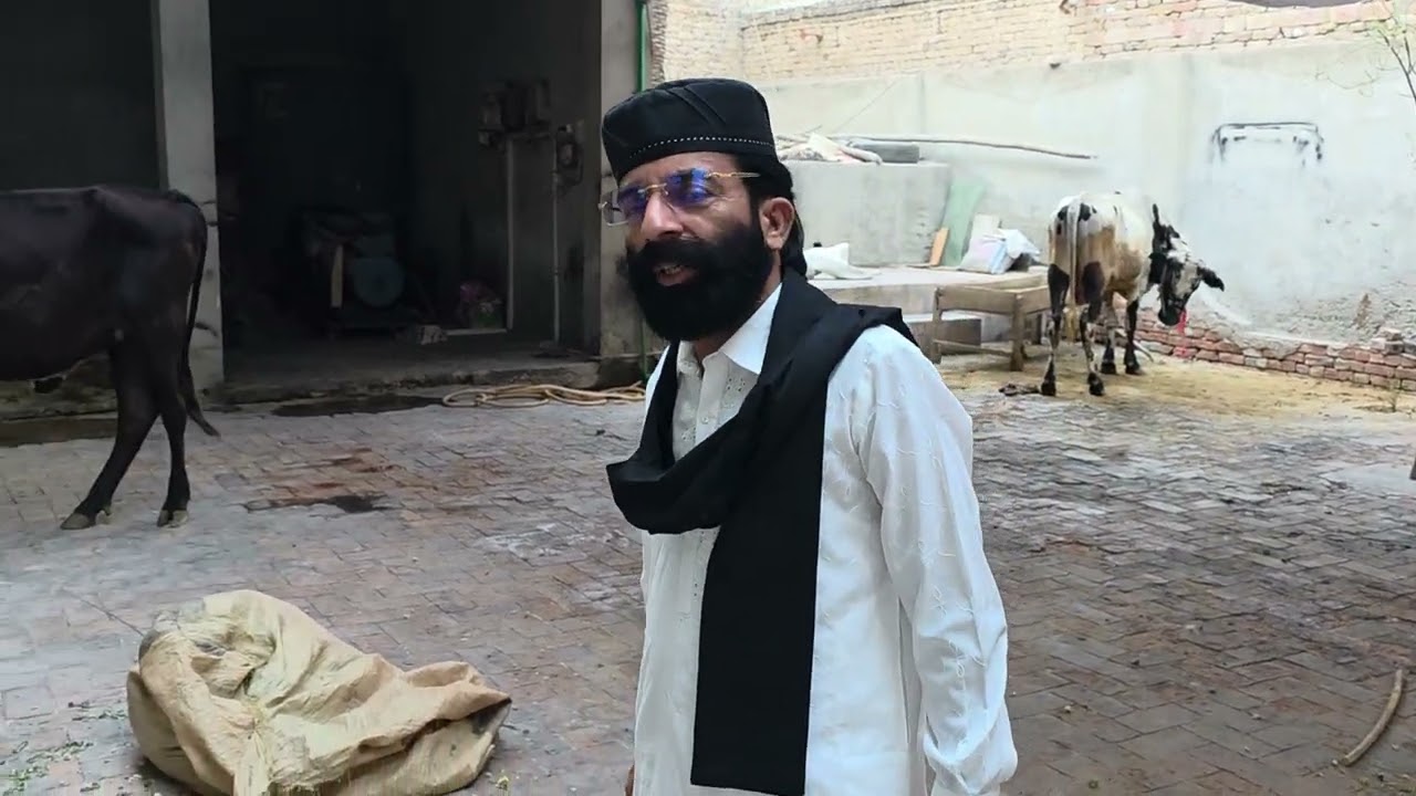 Eid ul azha k moqa par aj darbar e alia charagia kharor pakka shrif / qurbani k janwar / 5/6/25