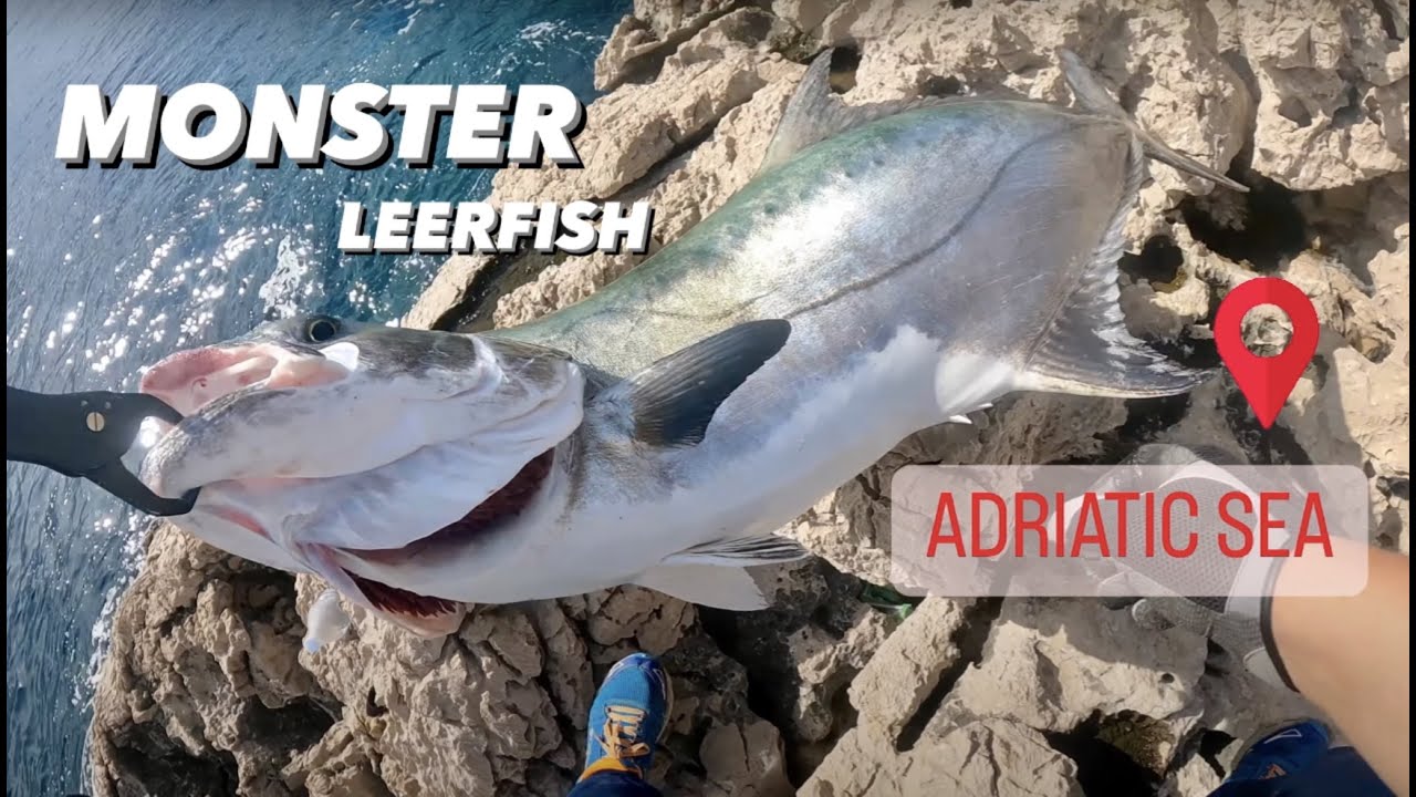 TFC: The Adriatic Adventures Part 2 - The GIANT Leerfish -