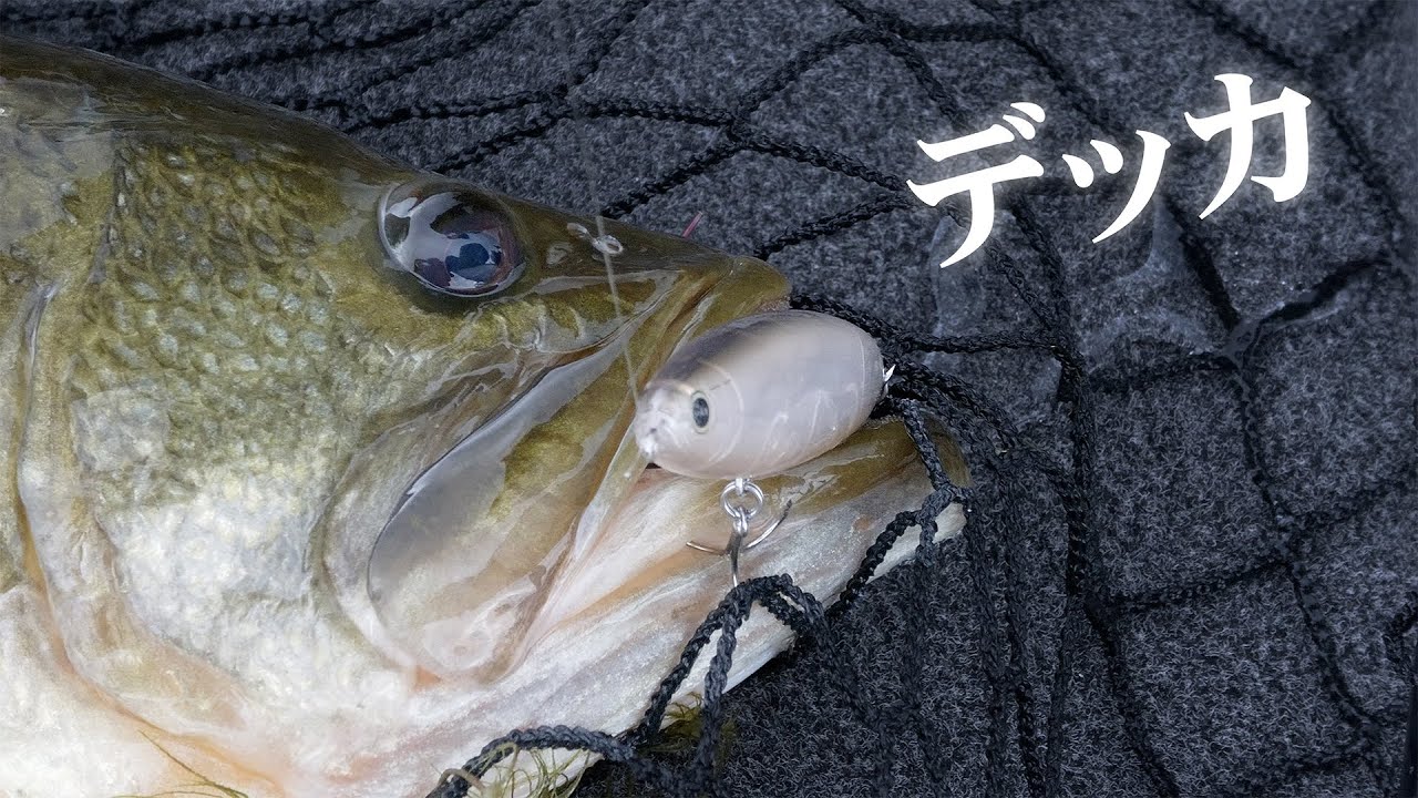 こんな事が起きるんだ！！