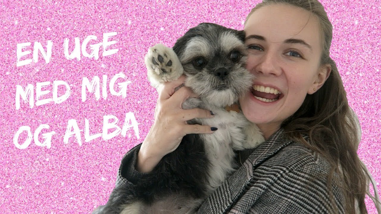FLYTTEVLOG #4 - Første uge i min nye lejlighed!